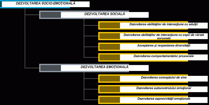 Organization Chart