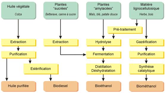 biofuels