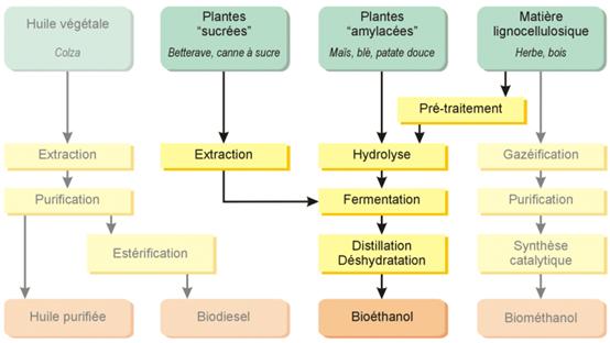 bioethanol