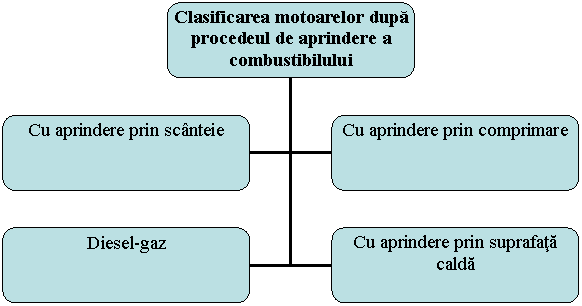 Organization Chart