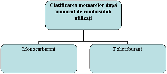 Organization Chart