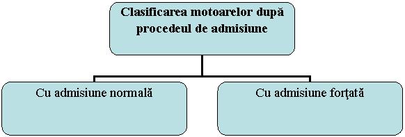 Organization Chart