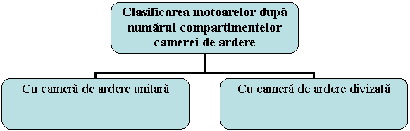 Organization Chart