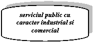 Flowchart: Terminator: serviciul public cu caracter industrial si comercial

