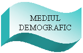 Wave: MEDIUL DEMOGRAFIC