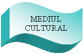 Wave: MEDIUL CULTURAL