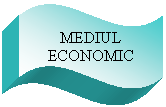Wave: MEDIUL ECONOMIC