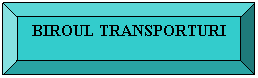 Bevel: BIROUL TRANSPORTURI