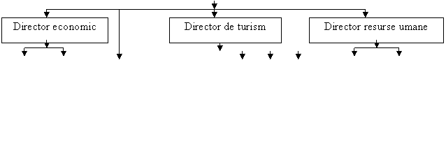 Text Box: Contabilitate,Text Box: Financiar,Text Box: Secretariat,Text Box: Dezvoltare,Text Box: Marketing,Text Box: Transporturi,Text Box: Recrutare, angajare,Text Box: Normare si salarizare